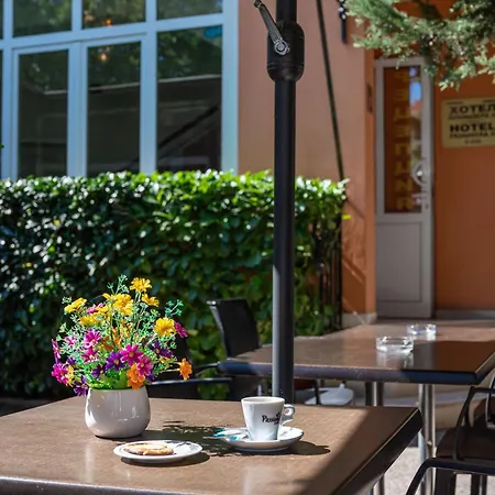 Primavera 2 Ξενοδοχείο Πάζαρτζικ