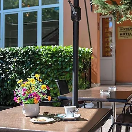 Primavera 2 Πάζαρτζικ